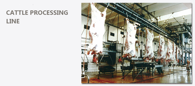 sığır işleme hattı
