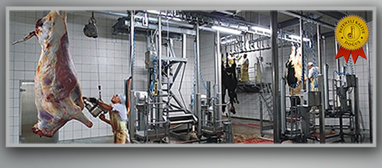 sığır devirme hücresi